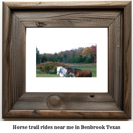 horse trail rides near me in Benbrook, Texas